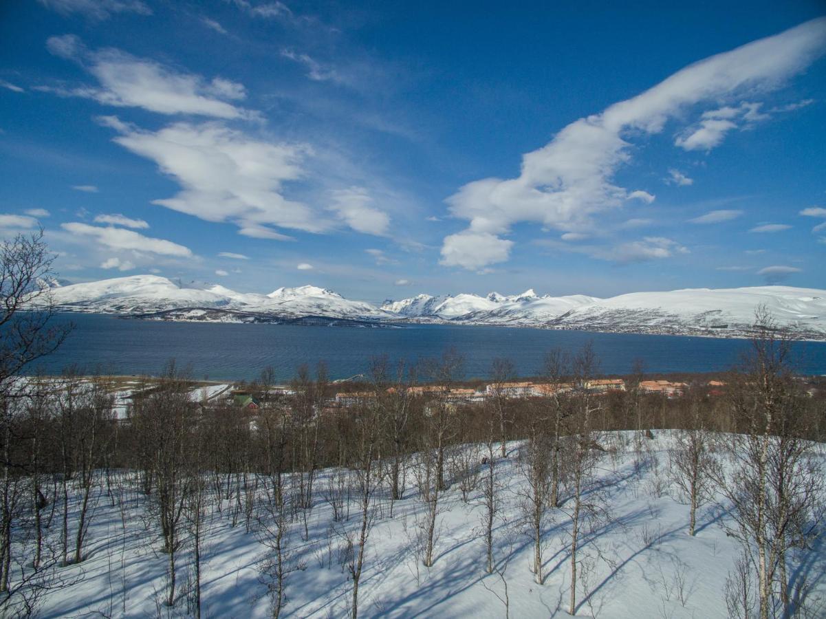 Enter Tromso - The Mountain View Apartment Ngoại thất bức ảnh